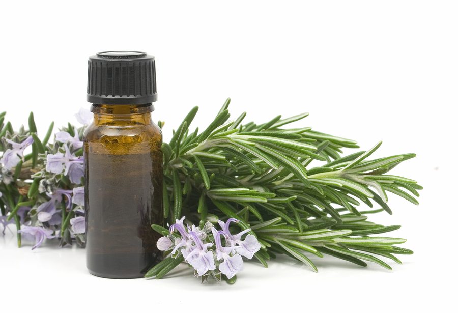 Rosemary Essential Oil | Types | Uses | Benefits | by Joan Morais Naturals
