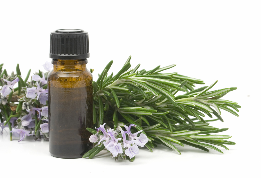 Top Aromatherapy Plants and Their Benefits