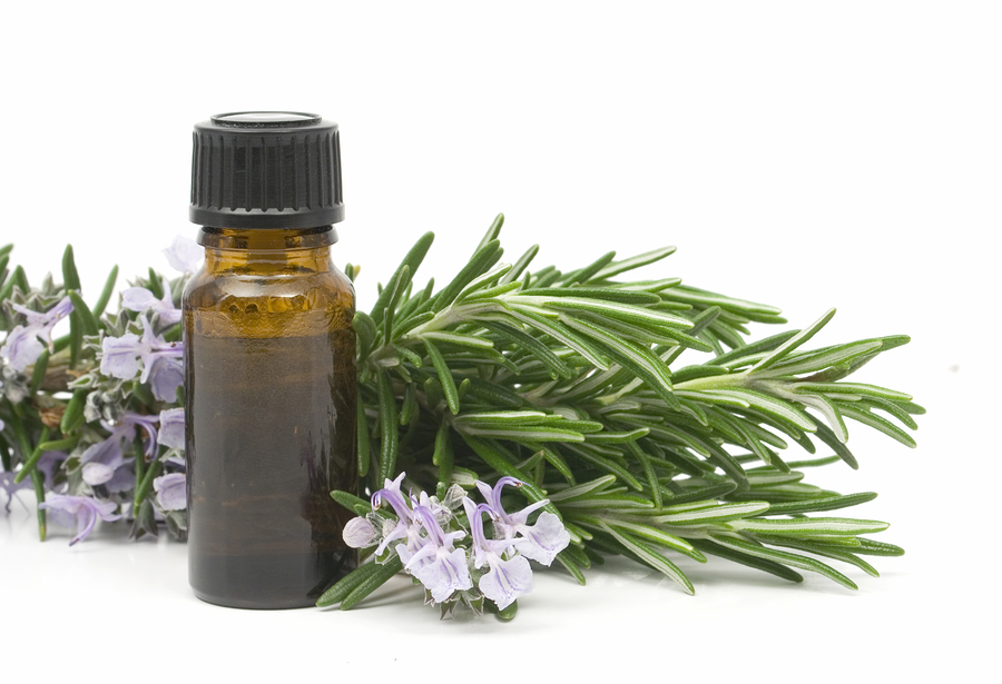 Nature Always Rosemary Essential Oil - Non-GMO, Cruelty-Free - Ideal For Skincare, Haircare, Aromatherapy - Massage & Relaxation Oil - Fresh, Invigorating Aroma – 2 Fl Oz With Dropper Included