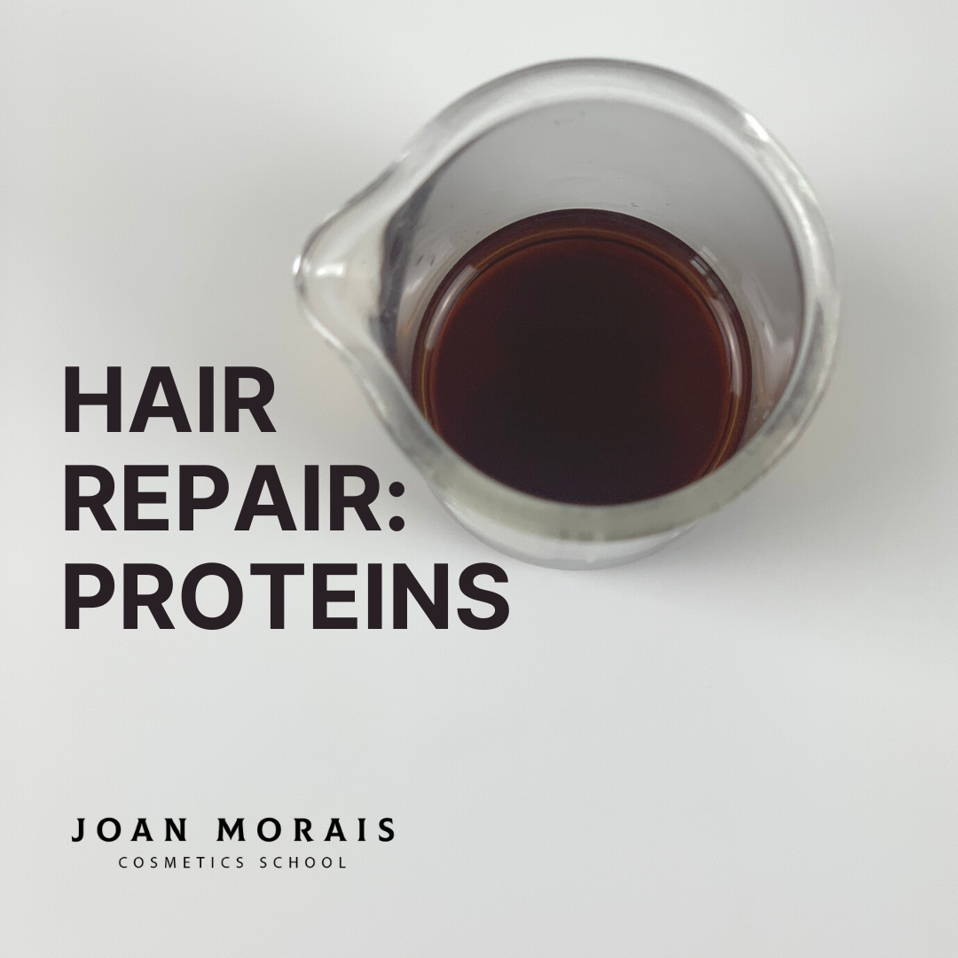 Hair Repair Proteins