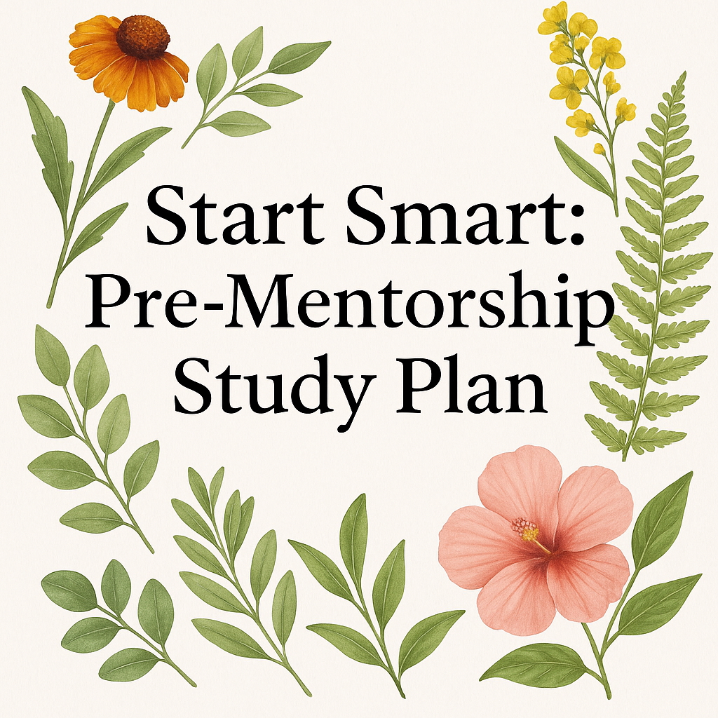 Start Smart: Pre-Mentorship Study Plan 