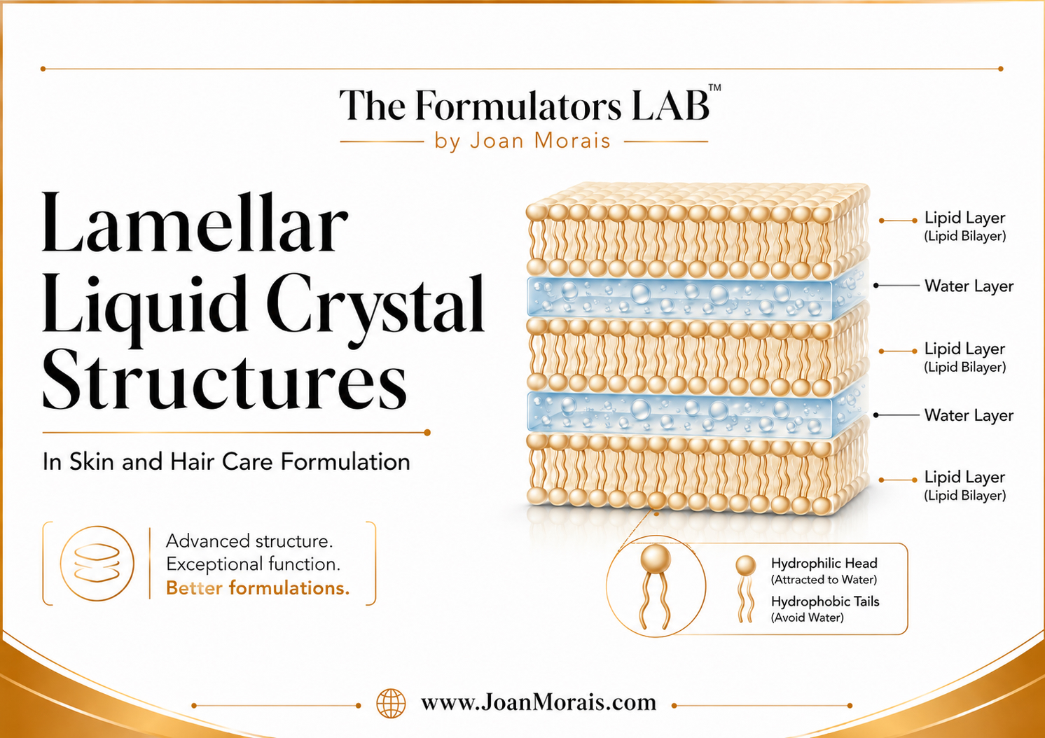 Lamellar Liquid Crystal Structures Joan Morais